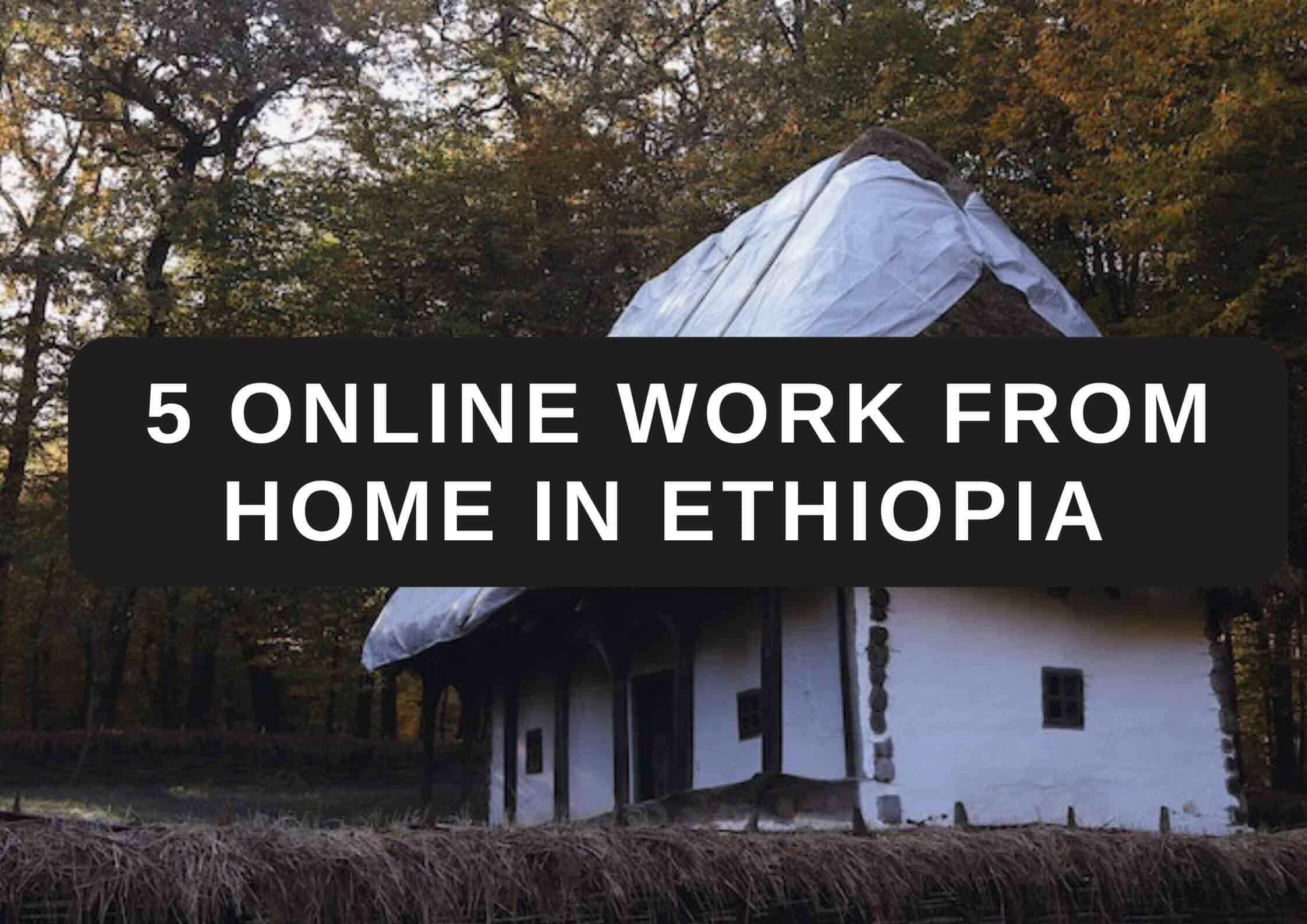 5 Online Work from Home in Ethiopia (ኦንላይን ስራ በኢትዮፕይ)