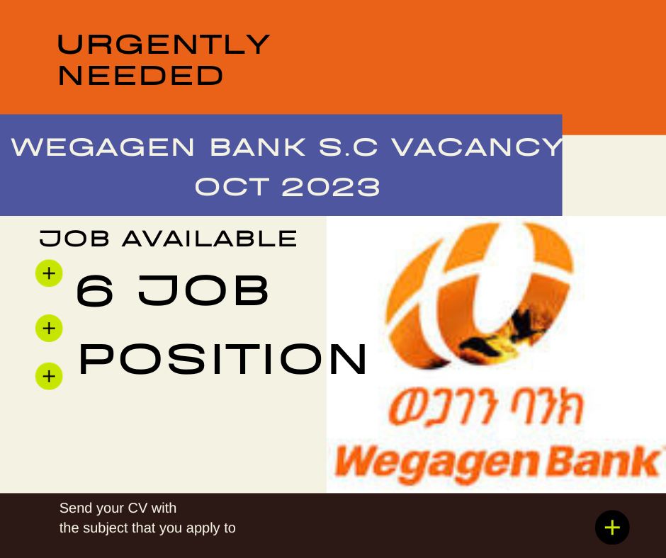 Wegagen Bank S.C Vacancy Oct 2023