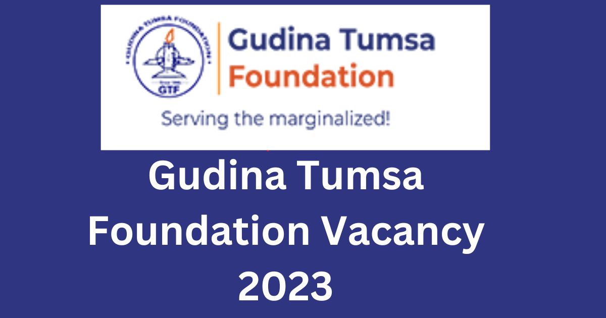 Gudina Tumsa Foundation Vacancy 2023