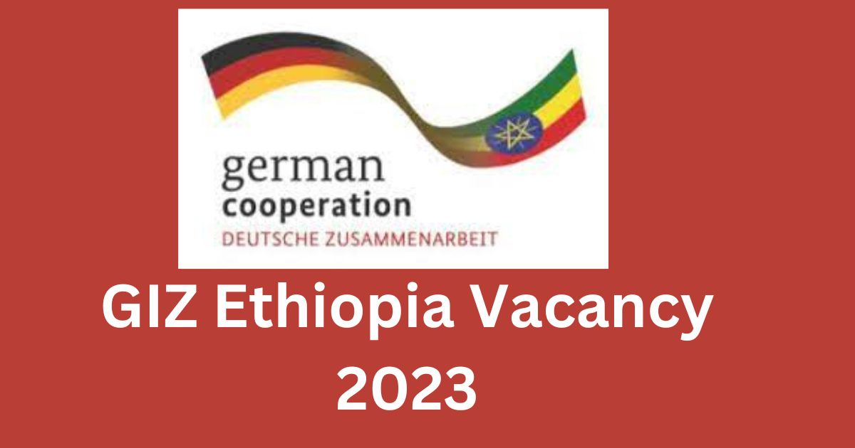 GIZ Ethiopia Vacancy 2023