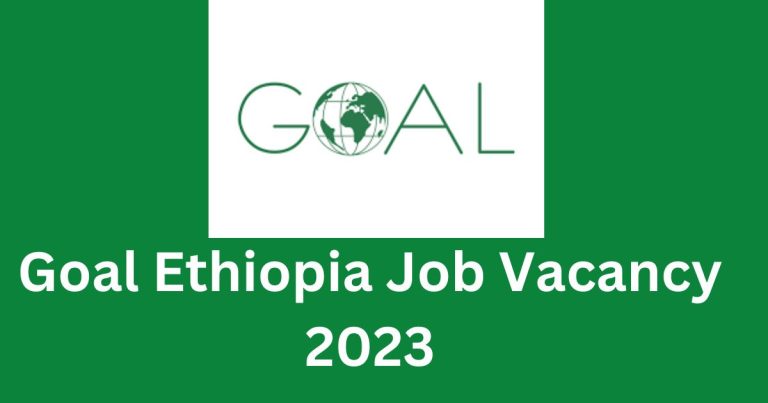 JOB VACANCY IN ETHIOPIA 2022 TODAY visual data 8